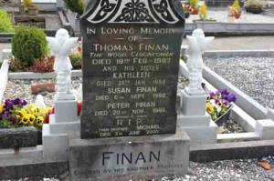 Finan Thomas The Wood Cloonfower